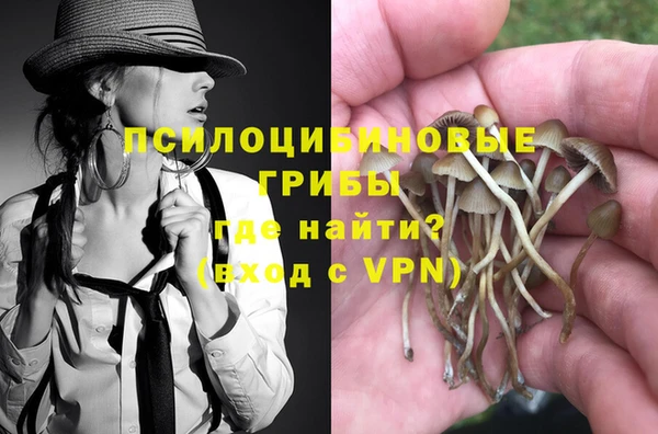 герыч Вязьма